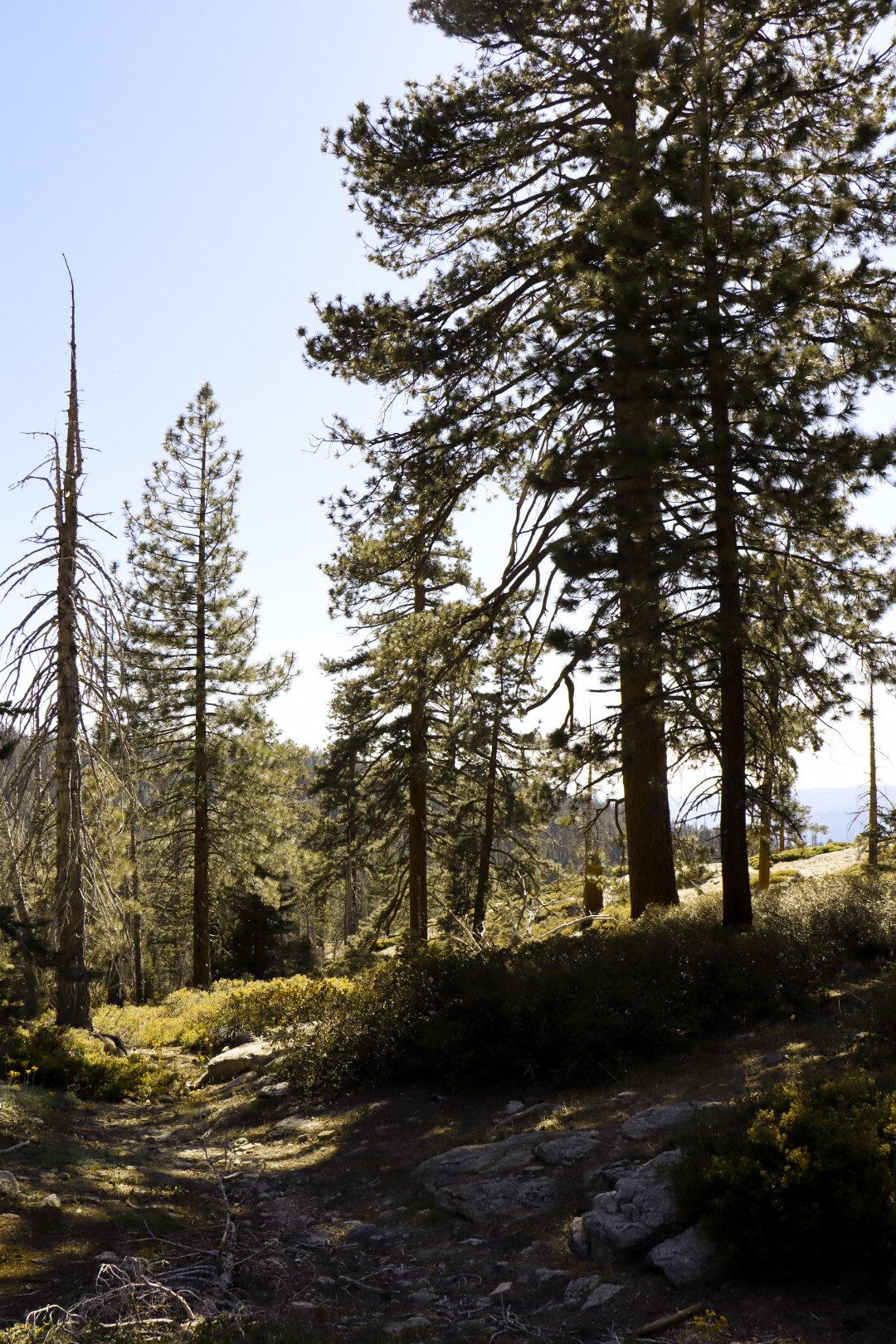 Photo by Harris Campbell